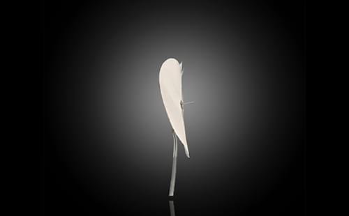<a href='http://www.zkydsb.com/news-hy/27.html' target='_blank'><u>智凯胰岛素泵</u></a>可分离钢针FS461