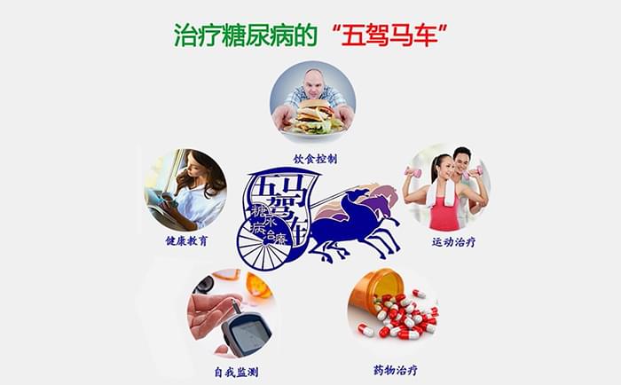 治疗<a href='http://www.zkydsb.com/zskt-tnb/58.html' target='_blank'><u>糖尿病</u></a>的“<a href='http://www.zkydsb.com/zskt-tnb/16.html' target='_blank'><u>五驾马车</u></a>”