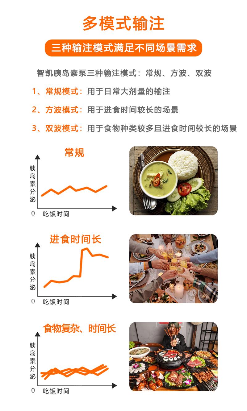 进餐输注的模型介绍