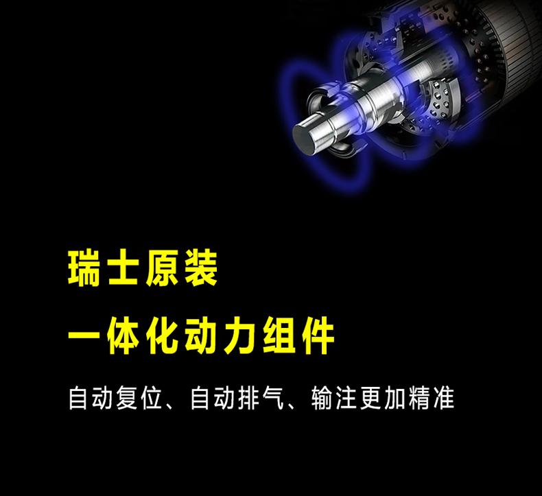 瑞士原装进口马达电机